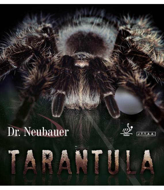 ยางปิงปอง Dr.Neubauer Tarantula ( ยางแอนตี้ )
