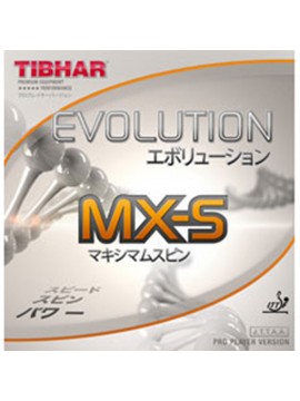 ยางปิงปอง TIBHAR รุ่น EVOLUTION MX-S